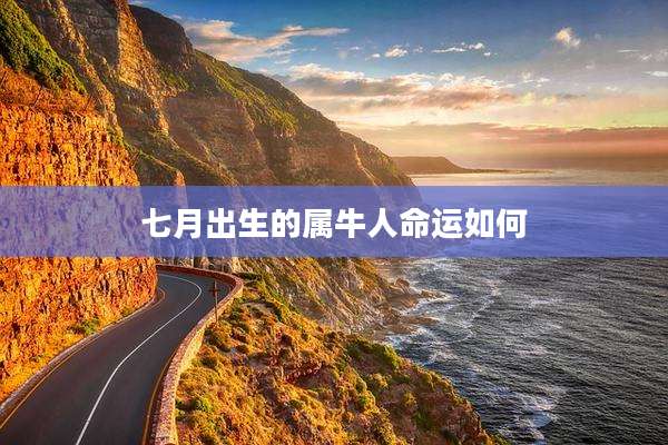 七月出生的属牛人命运如何