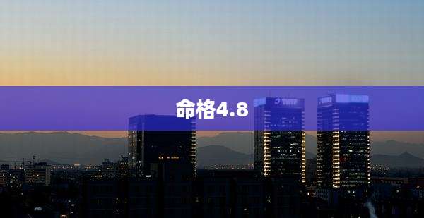 命格4.8