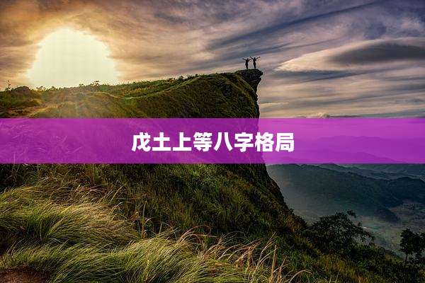 戊土上等八字格局