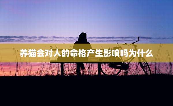 养猫会对人的命格产生影响吗为什么