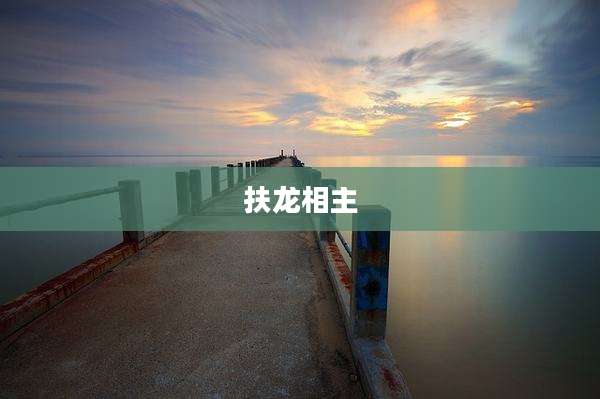 扶龙相主
