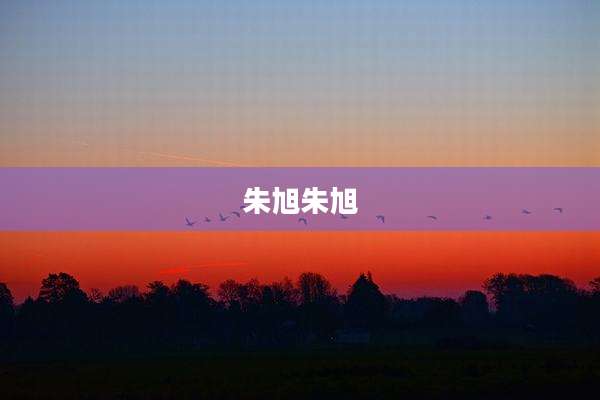 朱旭朱旭