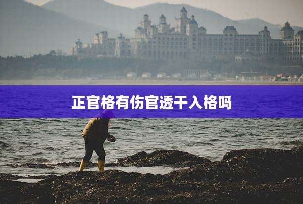 正官格有伤官透干入格吗
