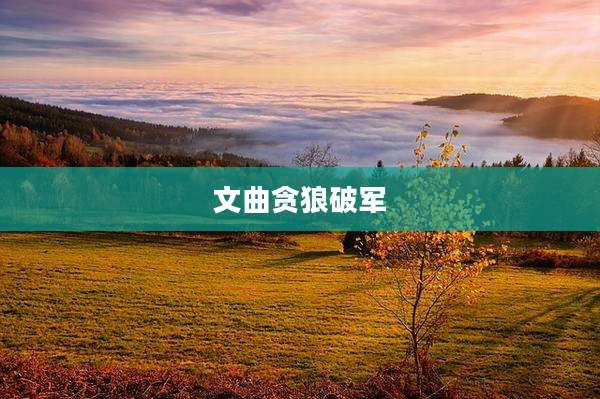 文曲贪狼破军