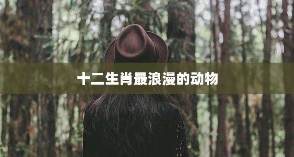 十二生肖最浪漫的动物