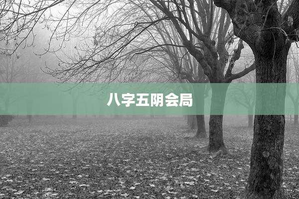 八字五阴会局