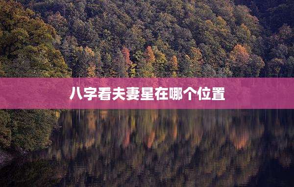 八字看夫妻星在哪个位置