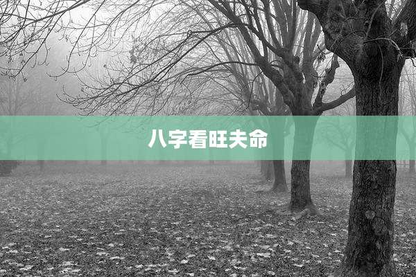 八字看旺夫命