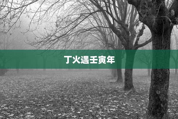 丁火遇壬寅年