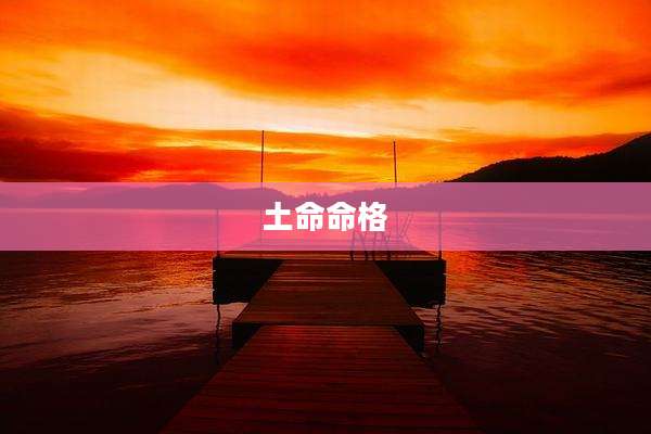 土命命格