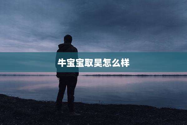 牛宝宝取昊怎么样