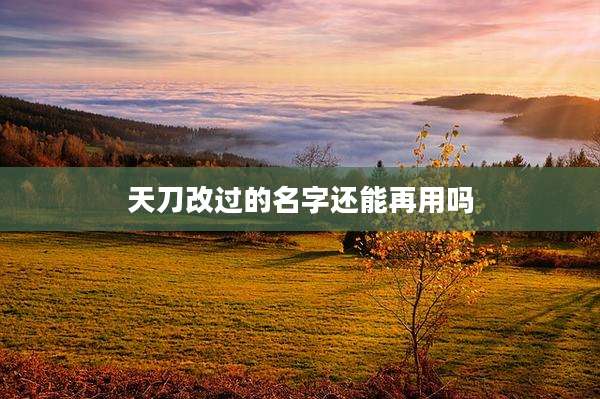 天刀改过的名字还能再用吗