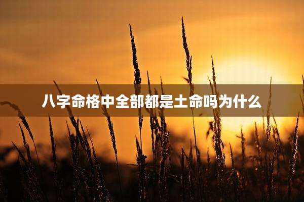 八字命格中全部都是土命吗为什么