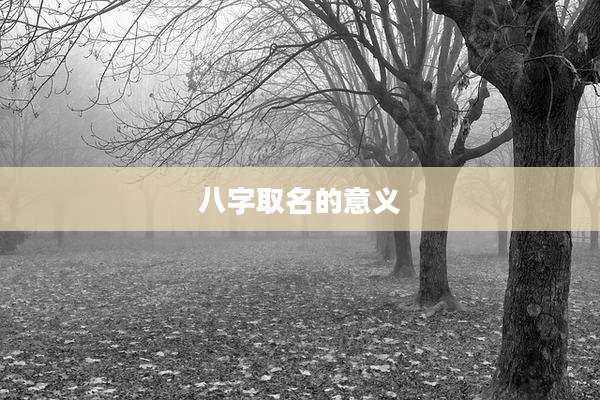 八字取名的意义