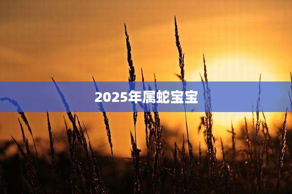 2025年属蛇宝宝