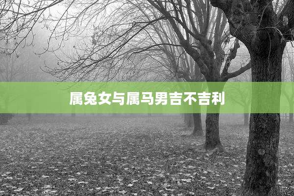 属兔女与属马男吉不吉利