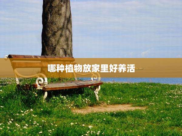 哪种植物放家里好养活