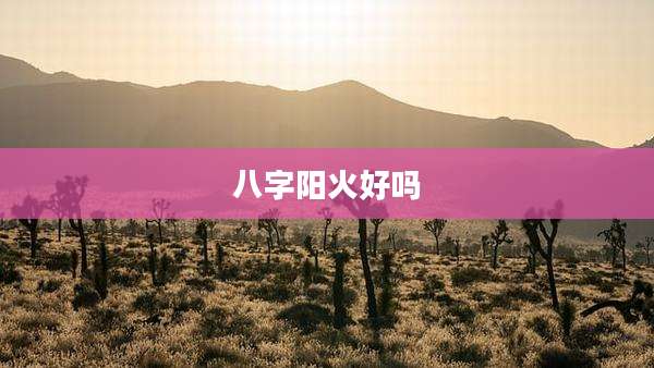 八字阳火好吗