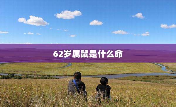 62岁属鼠是什么命