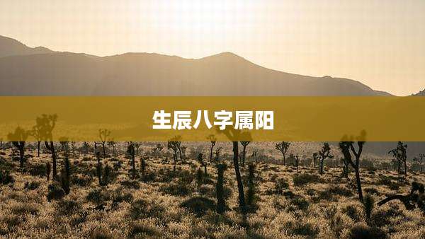 生辰八字属阳