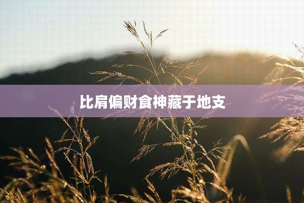 比肩偏财食神藏于地支