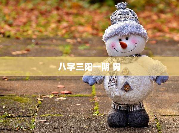 八字三阳一阴 男