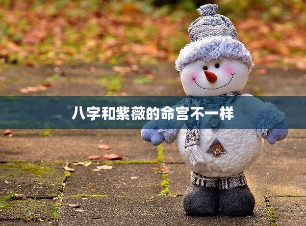 八字和紫薇的命宫不一样