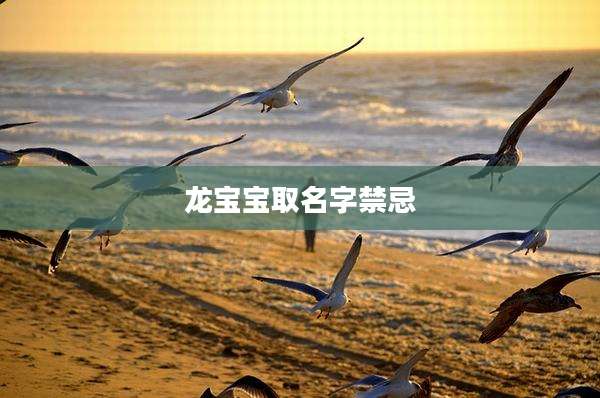 龙宝宝取名字禁忌