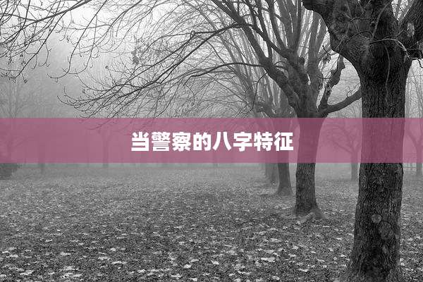 当警察的八字特征