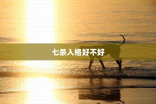 七杀入格好不好