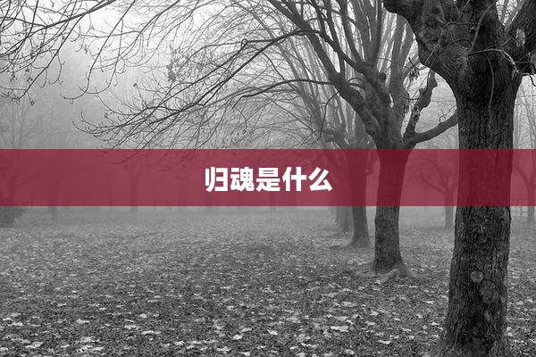 归魂是什么