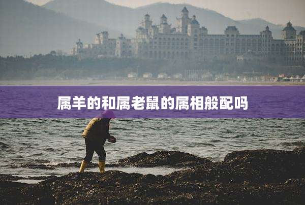 属羊的和属老鼠的属相般配吗