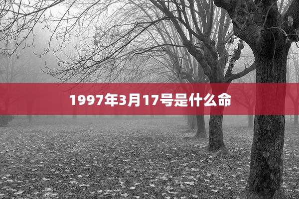 1997年3月17号是什么命