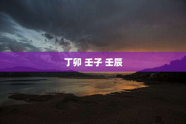 丁卯 壬子 壬辰