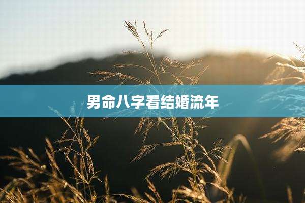 男命八字看结婚流年