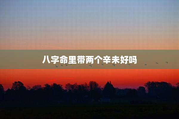 八字命里带两个辛未好吗