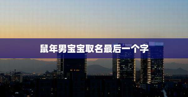 鼠年男宝宝取名最后一个字
