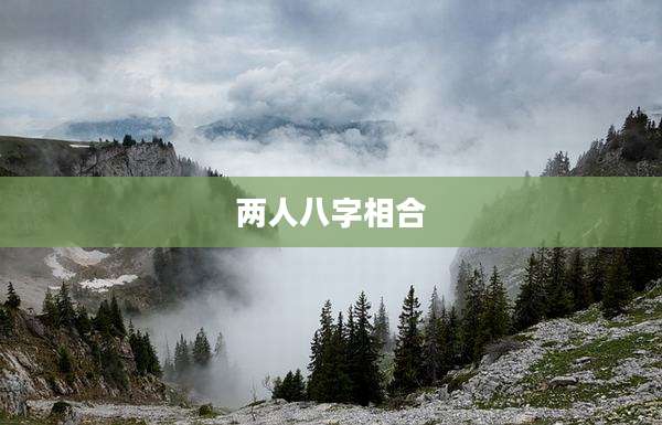 两人八字相合