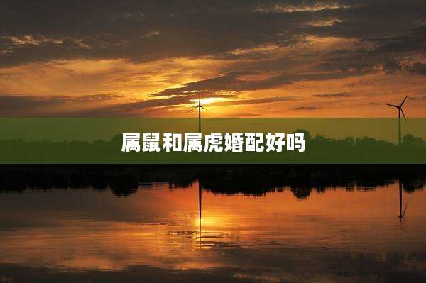 属鼠和属虎婚配好吗