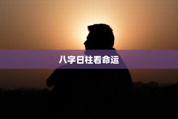 八字日柱看命运