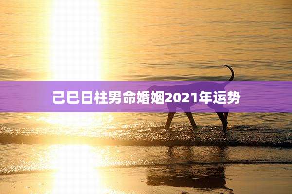 己巳日柱男命婚姻2021年运势