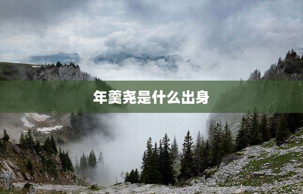 年羹尧是什么出身