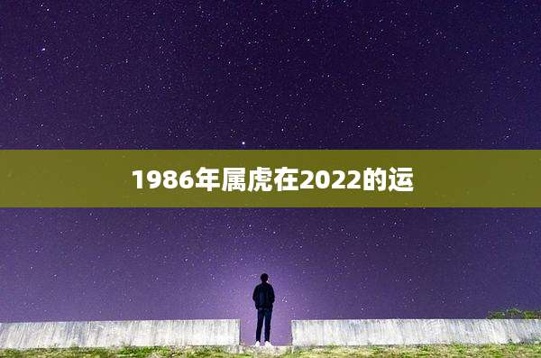1986年属虎在2022的运
