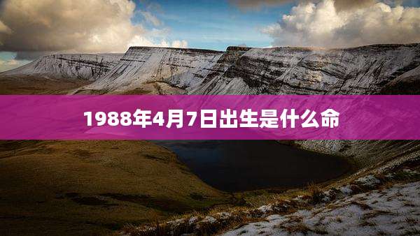 1988年4月7日出生是什么命