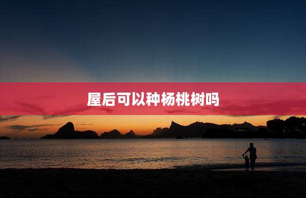 屋后可以种杨桃树吗
