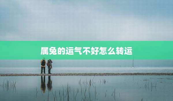 属兔的运气不好怎么转运