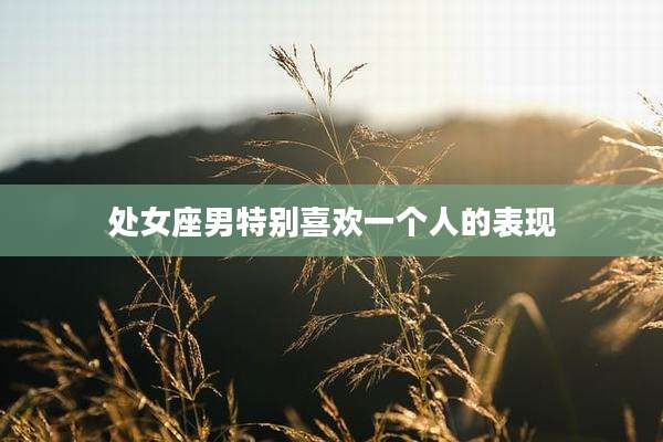 处女座男特别喜欢一个人的表现