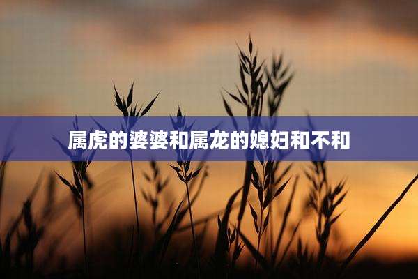 属虎的婆婆和属龙的媳妇和不和