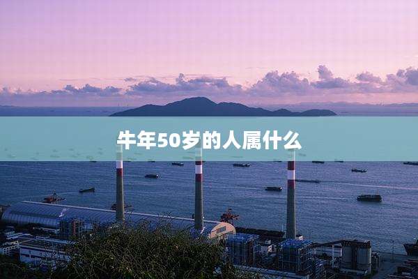 牛年50岁的人属什么
