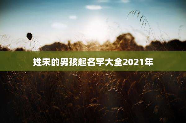 姓宋的男孩起名字大全2021年